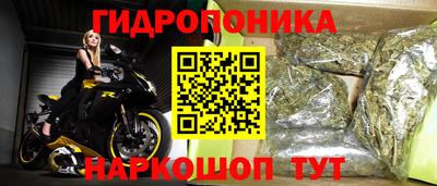 индика Абинск